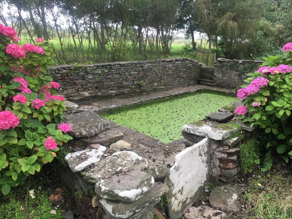 Ti-prenn des Lavandières Le Conquet Esterno foto