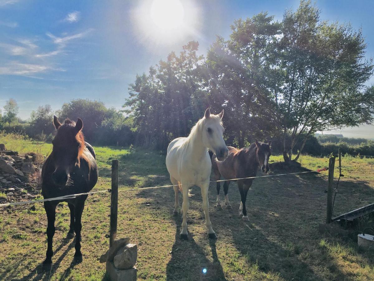 Ti-prenn des Lavandières Le Conquet Esterno foto